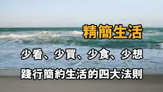 精簡生活：少看、少買、少食、少想，踐行簡約生活的四大法則