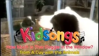 How Much Is That Doggie in the Window? | Kidsongs | |Nursery Rhymes | Kidsongs TV Show