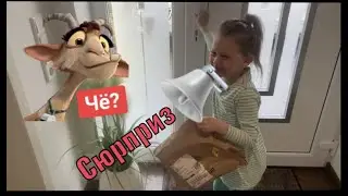 сюрприз Пакет прибыла Посылка