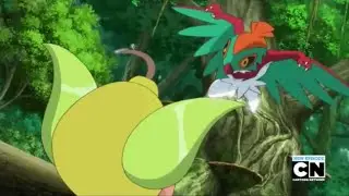 Pokemon: Hawlucha vs Weepinbell