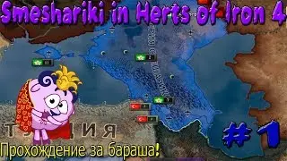 ЗА БАРАША И СМЕШАРИЮ!!!Приводим к власти бараша! [Hearts of Iron 4]