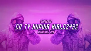 WANCHIZ -Co ty kurwa miałczysz! (Original Mix)