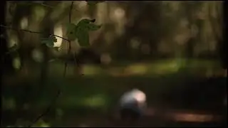 me, escaping