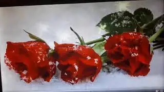 МУДРОСТЬ ЖИЗНИ 1