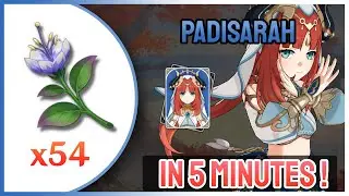Padisarah (Orquídea Padishá) Farming Route [ IN 5 MIN] / Genshin Impact