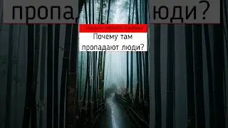 Долина чёрного бамбука. Почему там пропадают люди? 