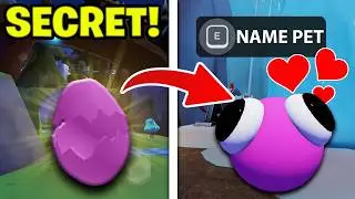 I Tamed a PET In Rainbow Friends.. !