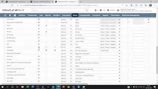 Cannot find custom field on netsuite import mapping