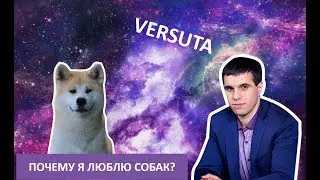 Versuta почему я люблю собак?