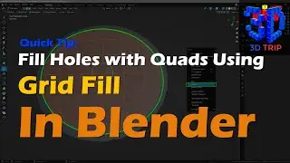 Blender: Grid Fill