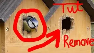 Review After effects Tutorial: remove object in video