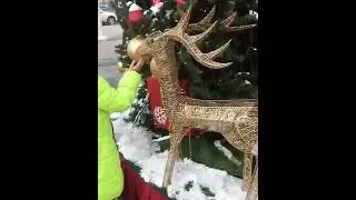ДостыкПлаза2018г.