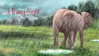 A rainy Night