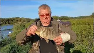 Ловим дикого сазана! По следам Рыбкина 39.