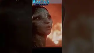 Аватар 2 ничего личного - просто половой отбор
