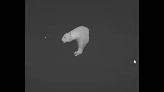 Видео 28 12 2021 141847