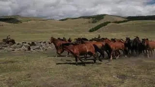 Mongolian Adventure Day 6: Lost horses, Change of Plans