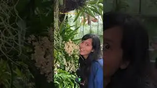 #londonvlog Part 1🌺