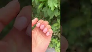Nail Shaping Transformation