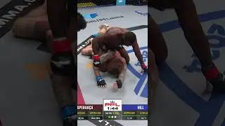 The PERFECT PFL debut 🤩 Shido Boris Esperanca beats down Tyler Hill at #PFLDC | #PFLPlayoffs