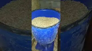 Ларь для дроблённого зерна.
