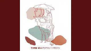 Fotos y Videos