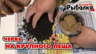 Наживка на крупного леща.