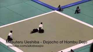 Waka-Sensei Mitsuteru Ueshiba