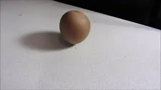 Free toy surprise inside your fruit!
