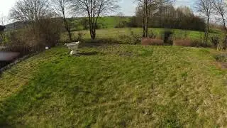 littel test fligh dji fpv race drone
