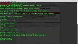 How to run mysql on kali linux 2018