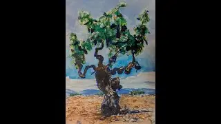 Loteria de Ensenada LA CEPA