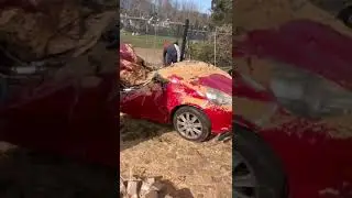 When nature don't like your car!!!