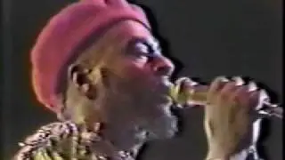 The P-Funk All Stars: Atomic Dog/Flashlight