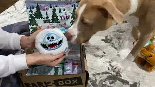 Barkbox December 2021 Opening | Rudolf Red-Nosed Reindeer