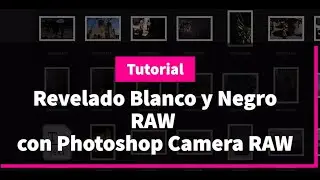 Revelado Blanco y Negro RAW