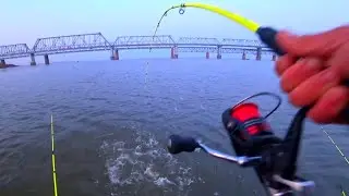 GET UP, OUR BOAT WAS STOLEN) THEY COULDN'T DRAG THE BIGGEST ONES (fishing in the fall of 2020)