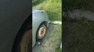 Отдых в Бийске 