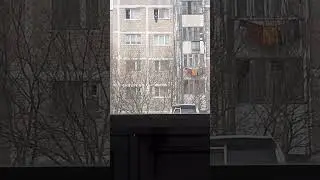 3 ноября 2022 г.