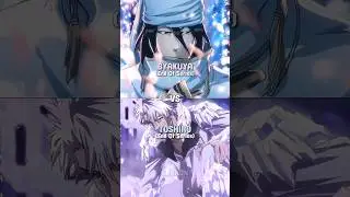 Byakuya Kuchiki VS Toshiro Hitsugaya 