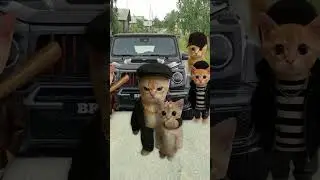 Kisa buys a Kirovets K-700 tractor 