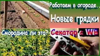 Переделываем грядки/Смородина или нет/Секатор с Вайлдберриз