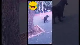 П о х у й 