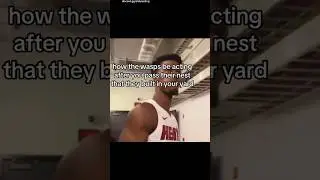 Discord Memes