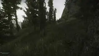 TARKOV
