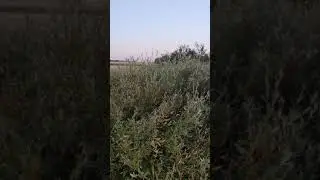 24 октября 2021 г.