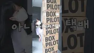 레벨99 레고 진열장?