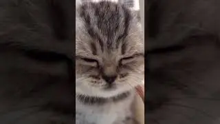 😍😍😍😍