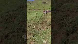 Ya vadia ya fazia