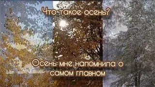 Осенний разговор #осень #природа #птицы #синицы #деревья #дуб #сибирь #рябина